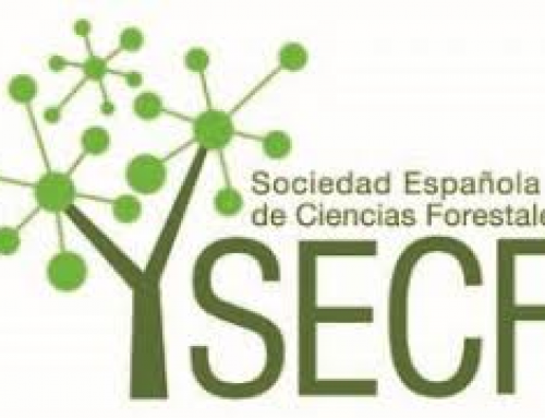 Premios Universitarios SECF