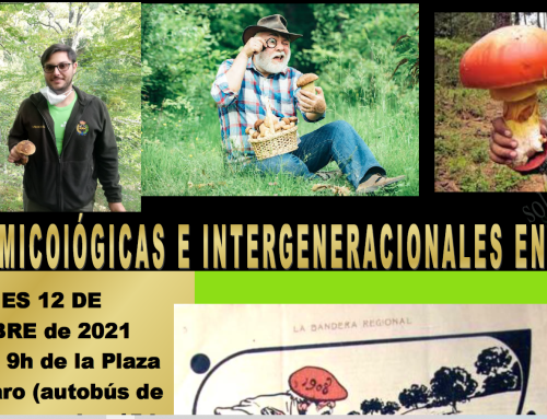Jornadas Micológicas e intergeneracionales en Palencia