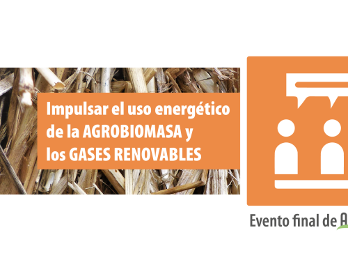 Evento final de AgroBioHeat – Encuentro de alto nivel para impulsar la agrobiomasa y los gases renovables