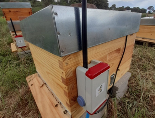 Investigadores de la ETSIIAA estudian la influencia del clima en la apicultura mediante 6 colmenas inteligentes en Valencia de Don Juan