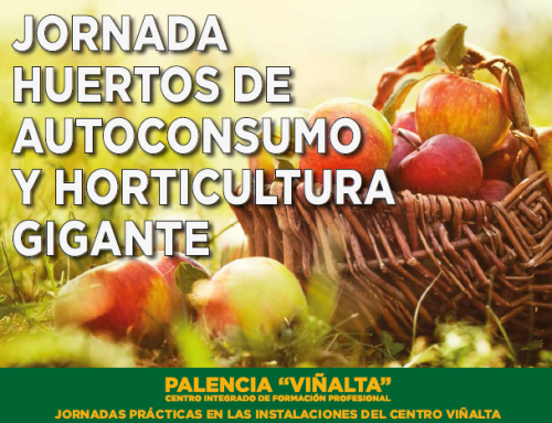 Jornada de Huertos de Autoconsumo y Horticultura Gigante en Viñalta