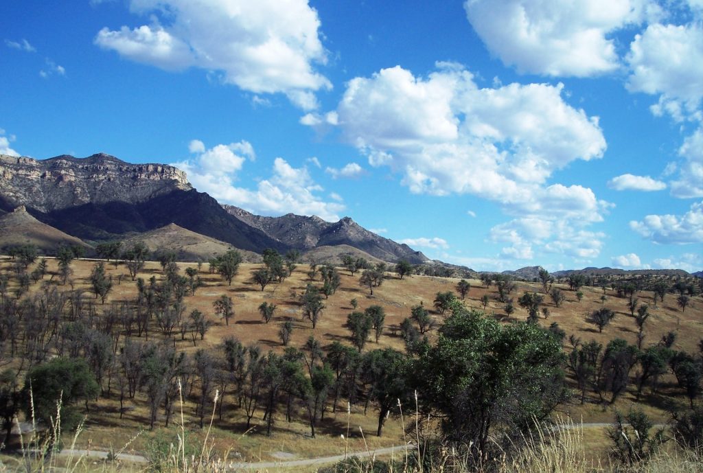 desarrollo sostenible